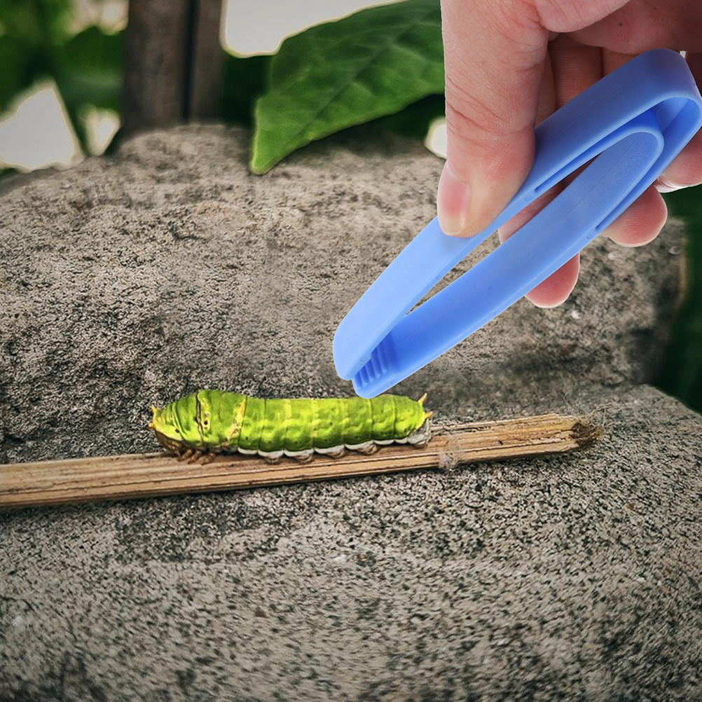 4Pcs Flat-Headed Plastic Tweez - đánh giá và giá Outdoor Adventure Educator